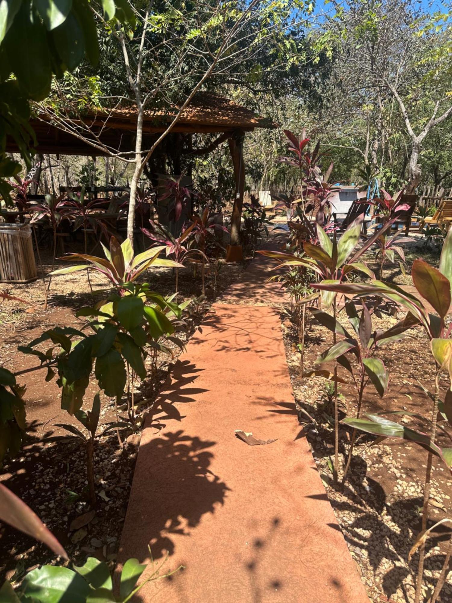 Finca Avellanas Lorena Exterior foto