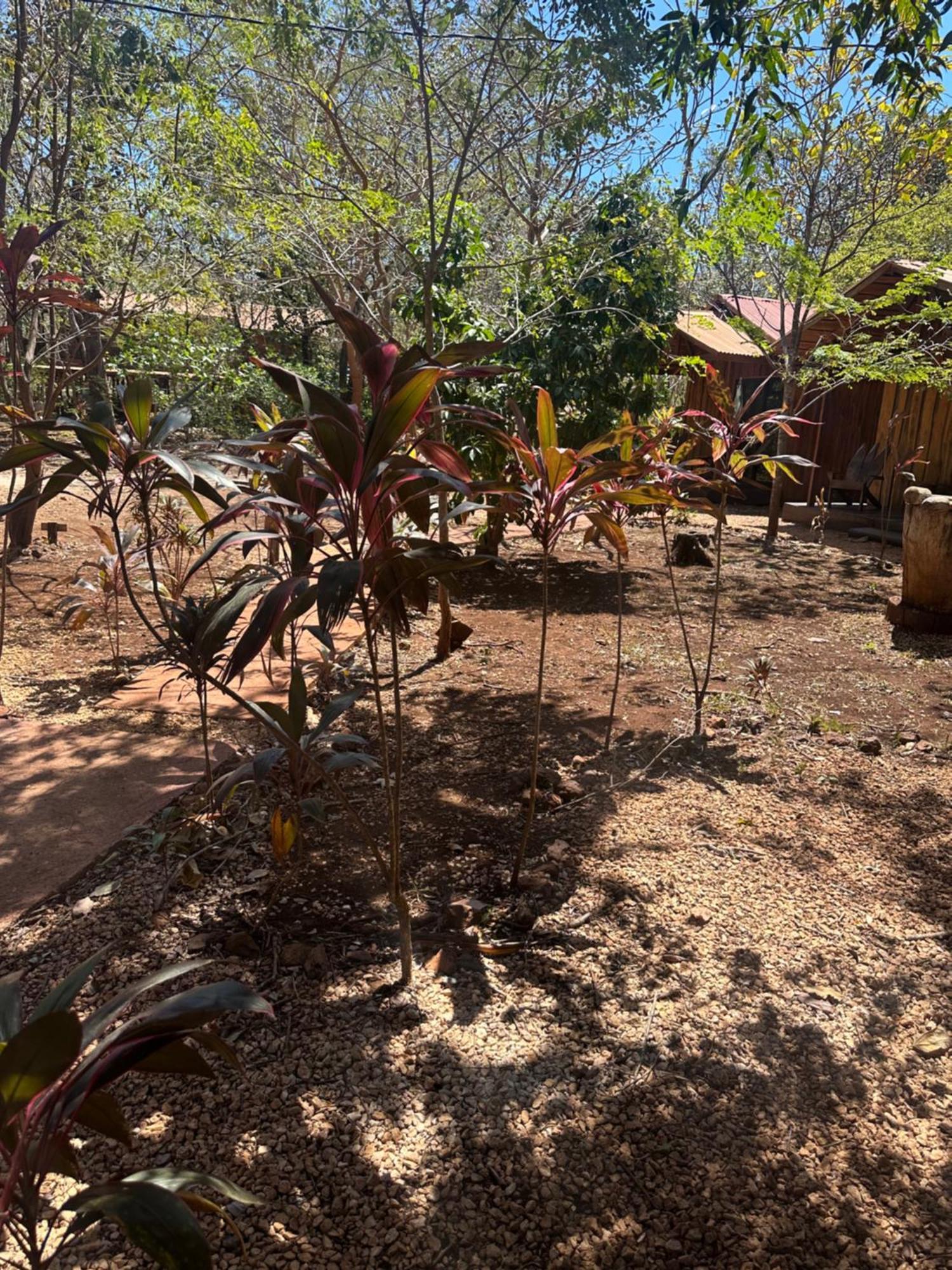 Finca Avellanas Lorena Exterior foto